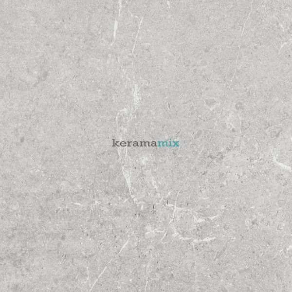 Керамогранит Ceramica Deseo | TUANA GREY MATT 60x60 см 202915 фото