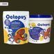 Двухкомпонентная эпоксидная затирка для плитки и мозаики ТМ "OCTOPUS", цвет 8148 1,25 кг. 209152 фото 1