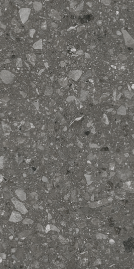 Керамогранит Teo Ceramics (Allore) | Terra Anthracite F P