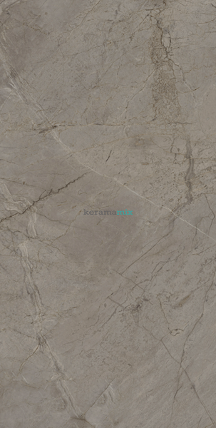Керамограніт Teo Ceramics | Riviero Silver F P 600x1200x8 R Sumat 1 208325 фото