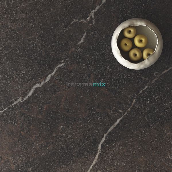 Керамограніт Peronda | Плитка Royal Brown Sp/R 100x100 см 209872 фото