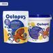 Двокомпонентна епоксидна затирка фуга для плитки і мозаїки ТМ "OCTOPUS", колір 8536 ультрамарин 1,25 кг. 209113 фото 1