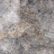 Керамограніт Fiera Ceramica | Princess Dark Grey 600х600х7 18138 фото 17