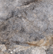 Керамограніт Fiera Ceramica | Princess Dark Grey 600х600х7 18138 фото 9