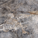 Керамограніт Fiera Ceramica | Princess Dark Grey 600х600х7 18138 фото 18