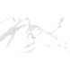 Керамограніт Ceramica Deseo | Galaxy Statuario 60x120 см 17441 фото 1