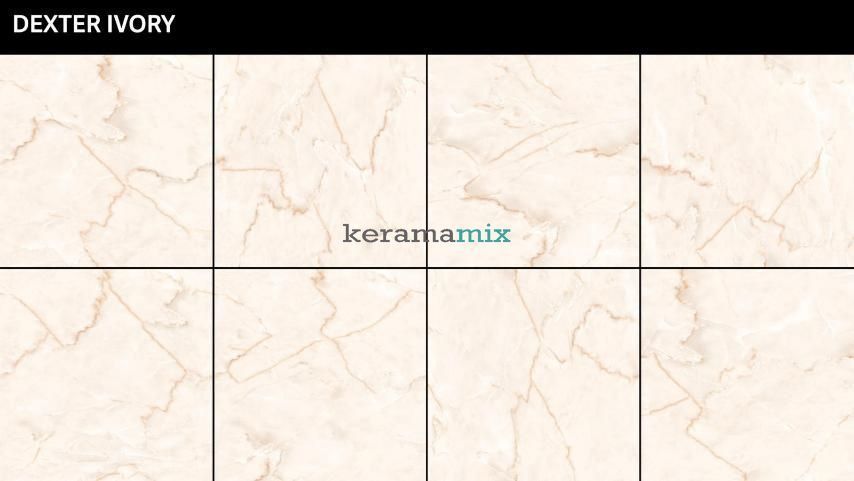 Керамогранит Livenza Granito | Dexter Ivory 60x60 см 202131 фото