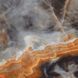 Керамогранит Teo Ceramics (Allore) | Alexandria Rust F P 600x600x8 R Full Lappato 1 17541 фото 26