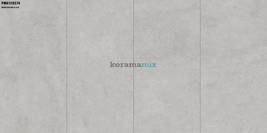 Керамограніт Ceramica Deseo | PM6120274 COAST GRIS 60x120 202230 фото