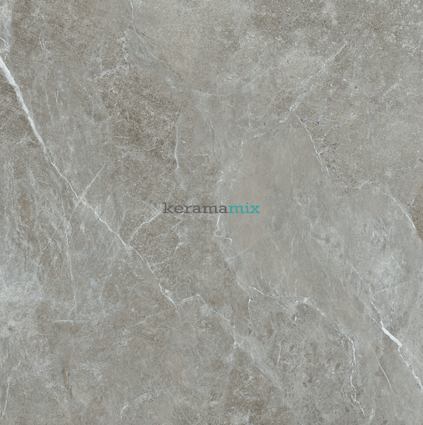 Керамогранит Teo Ceramics (Allore) | Ariya Grey F P 1200x1200x8 R Mat 1 18692 фото