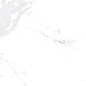 Керамограніт Teo Ceramics (Allore) | Avenzo Silver F P 600x600x8 R Satin 1 60131240 фото 13