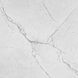 Керамогранит Ceramica Deseo | Segesta Silver 60x60 см 13250 фото 1