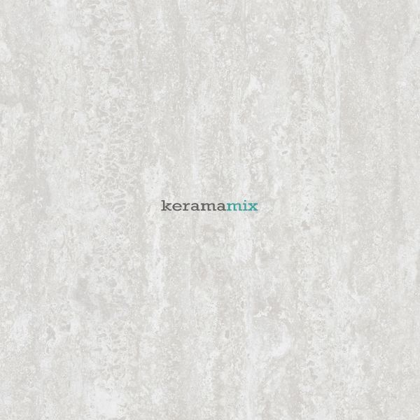 Керамогранит Teo Ceramics (Allore) | | Treviso Silver F P 600x600x8 R Mat 1 16845 фото