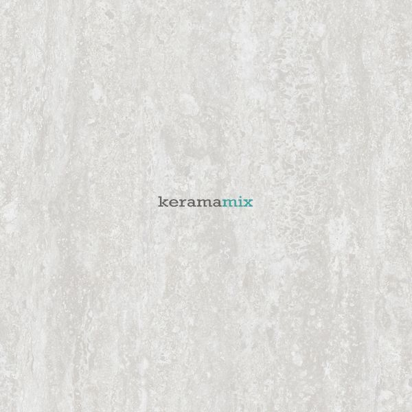 Керамогранит Teo Ceramics (Allore) | | Treviso Silver F P 600x600x8 R Mat 1 16845 фото