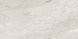 Плитка TEO CERAMICS (Allore) | Bergamo Silver W M 308x608x8.5 NR Glossy 1 16895 фото 9