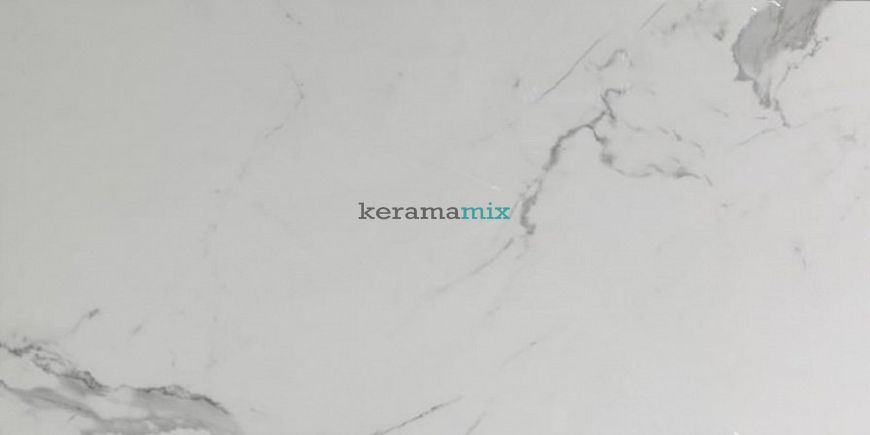 Керамограніт Teo Ceramics (Allore) | Alcora Grey F P 600x1200 Mat 11445 фото