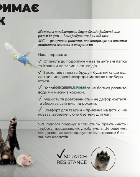 Кварц-виниловая плитка StoneX | SPC арт. 136192 Дуб Золотой 1219,2х228,6х5 мм 210076 фото