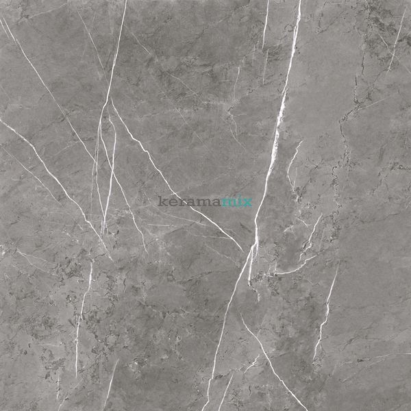 Керамогранит Primavera | Плитка Marble Mood MD2590 серый 600х600x8 202782 фото