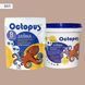 Двухкомпонентная эпоксидная затирка для плитки и мозаики ТМ "OCTOPUS", цвет 8411 1,25 кг. 209220 фото 1