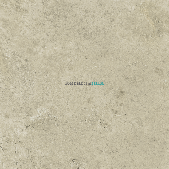 Керамогранит Teo Ceramics (Allore) | Limestone Beige F P R 600x600 Mat 11541 фото