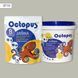 Двокомпонентна епоксидна затирка фуга для плитки і мозаїки ТМ "OCTOPUS", колір 8710 1,25 кг. 209683 фото 1