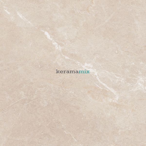 Керамограніт Teo Ceramics (Allore) | Perfecto Beige F P 470x470x8 NR Mat 1 11688 фото