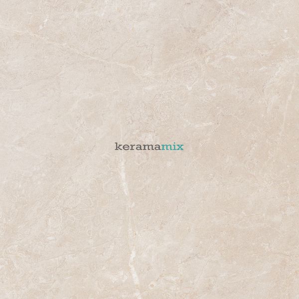 Керамограніт Teo Ceramics (Allore) | Perfecto Beige F P 470x470x8 NR Mat 1 11688 фото