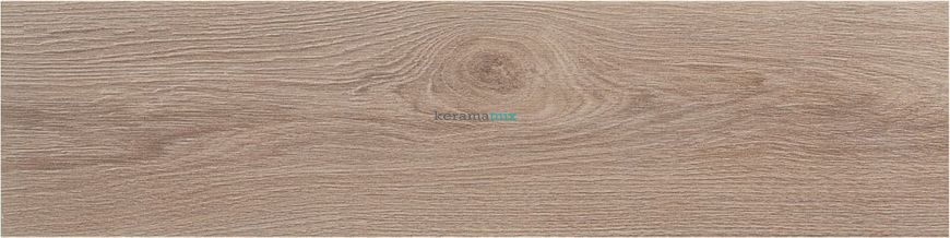 Плитка під дерево Teo Ceramics (Allore) | Wood Beige F PR 150x900 R Mat 1 11009 фото