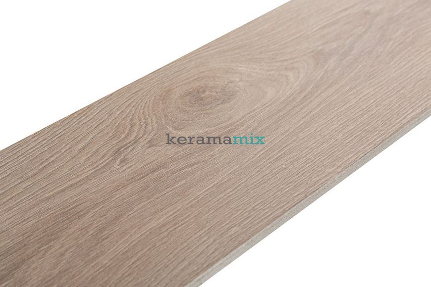 Плитка під дерево Teo Ceramics (Allore) | Wood Beige F PR 150x900 R Mat 1 11009 фото