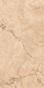 Керамогранит Levanta | Sandy Brown Polished 60X120 13356 фото