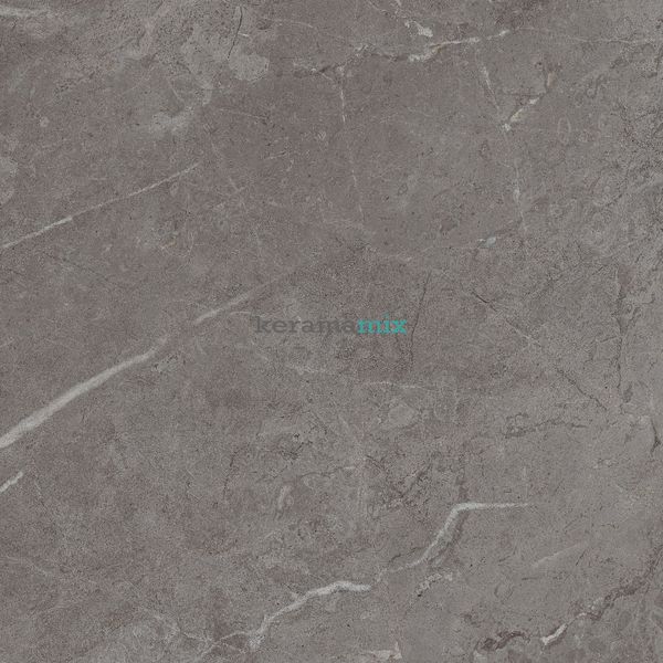 Керамогранит Teo Ceramics (Allore) | Perfecto Dark Grey F P 470x470x8 NR Mat 1 11689 фото