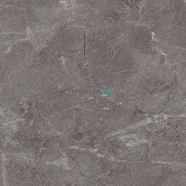 Керамограніт Teo Ceramics (Allore) | Perfecto Dark Grey F P 470x470x8 NR Mat 1 11689 фото