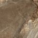 Керамограніт Almera Ceramica (Spain) | Volcane Brown 120x120 см 201882 фото 5