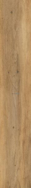 Плитка под дерево Teo Ceramics (Allore) | Canyon Gold F PR 150x900 R Mat 1 16854 фото