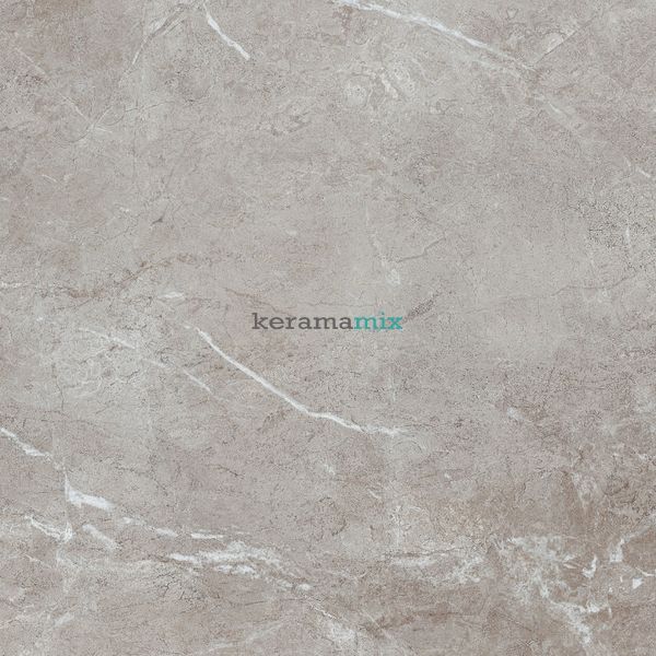 Керамограніт Teo Ceramics (Allore) | Perfecto Grey F P 470x470x8 NR Mat 1 11690 фото