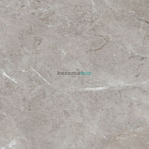 Керамогранит Teo Ceramics (Allore) | Perfecto Grey F P 470x470x8 NR Mat 1 11690 фото