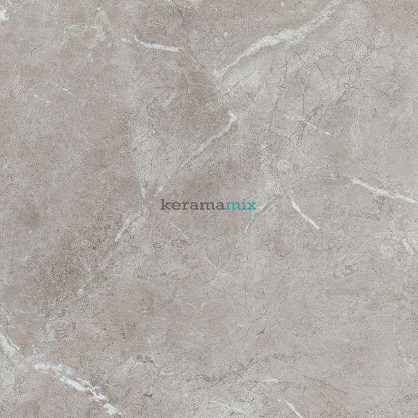 Керамограніт Teo Ceramics (Allore) | Perfecto Grey F P 470x470x8 NR Mat 1 11690 фото