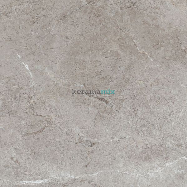 Керамогранит Teo Ceramics (Allore) | Perfecto Grey F P 470x470x8 NR Mat 1 11690 фото