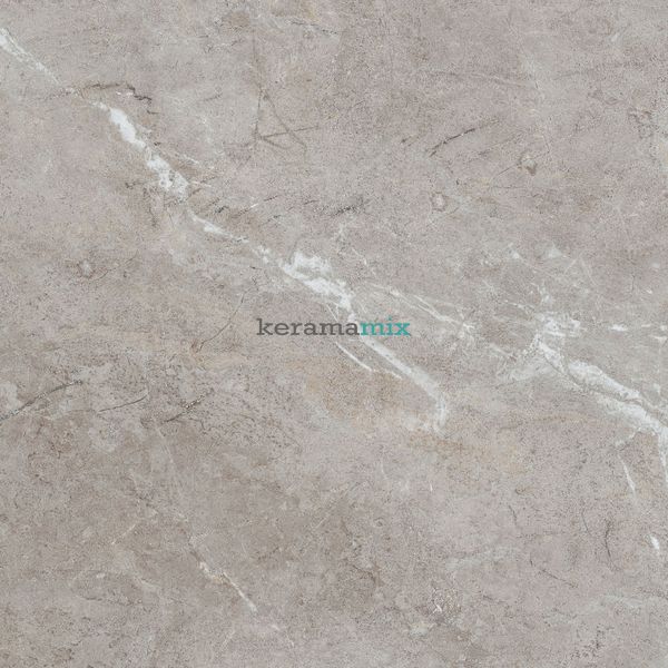 Керамогранит Teo Ceramics (Allore) | Perfecto Grey F P 470x470x8 NR Mat 1 11690 фото