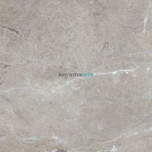 Керамограніт Teo Ceramics (Allore) | Perfecto Grey F P 470x470x8 NR Mat 1 11690 фото