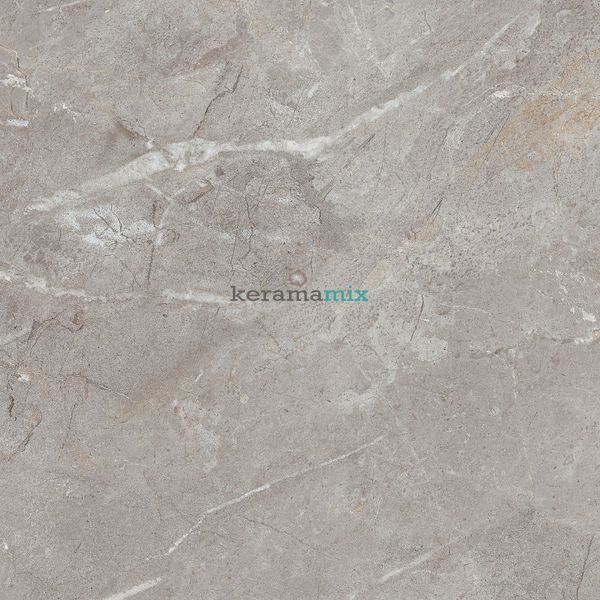 Керамограніт Teo Ceramics (Allore) | Perfecto Grey F P 470x470x8 NR Mat 1 11690 фото