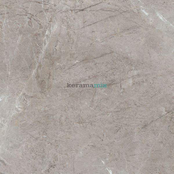 Керамогранит Teo Ceramics (Allore) | Perfecto Grey F P 470x470x8 NR Mat 1 11690 фото