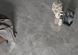 Керамогранит Cerrad | Distinct Grey SILKY CRISTAL LAP 1197x2797x6 201232 фото 3