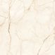 Керамогранит Almera Ceramica | Плитка Ec.Alberi Crema 120х120 см 209885 фото 1