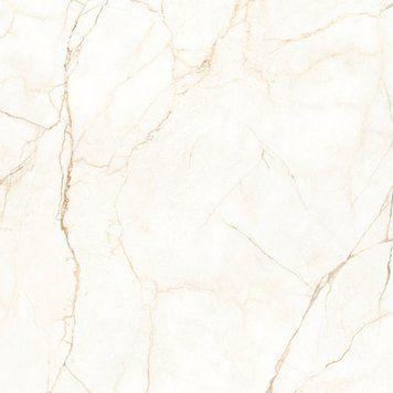 Керамограніт Almera Ceramica | Плитка Ec.Alberi Blanco 120х120 см 209886 фото
