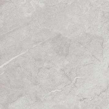 Керамограніт Teo Ceramics (Allore) | Perfecto Silver F P 470x470x8 NR Mat 1 11691 фото