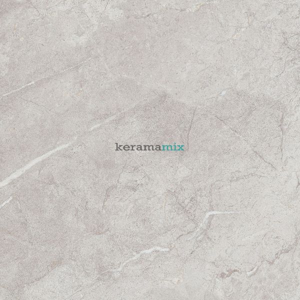 Керамогранит Teo Ceramics (Allore) | Perfecto Silver F P 470x470x8 NR Mat 1 11691 фото