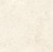 Керамограніт Teo Ceramics (Allore) | Topstone Cream F P 600x600x8 R Somat 1 208291 фото 21