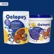 Двухкомпонентная эпоксидная затирка для плитки и мозаики ТМ "OCTOPUS", цвет 8548 1,25 кг. 209437 фото 1