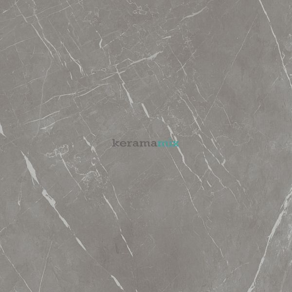 Керамогранит Teo Ceramics (Allore) | Marmolino Grey F P 600x600x8 R Mat 1 60131259 фото